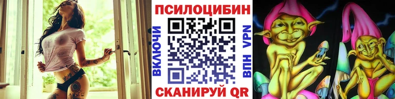 где купить   Кисловодск  OMG как зайти  Псилоцибиновые грибы ЛСД 