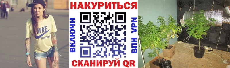 hydra ссылки  наркота  Кисловодск  Бошки марихуана гибрид 
